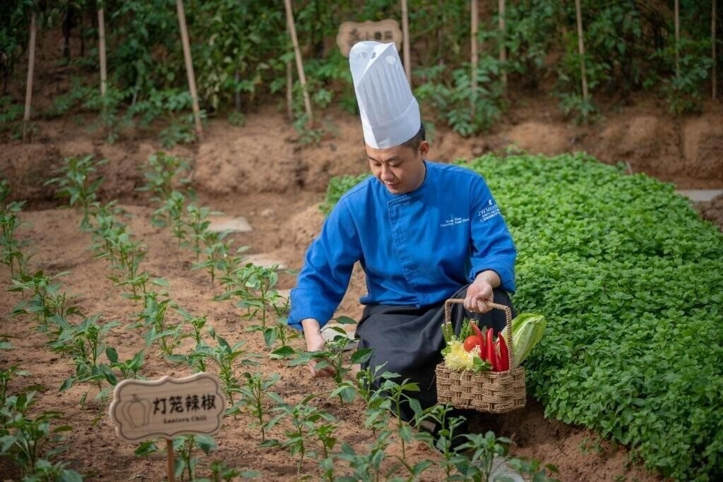 Изображение Jw Marriott Sanya Haitang Bay 5*