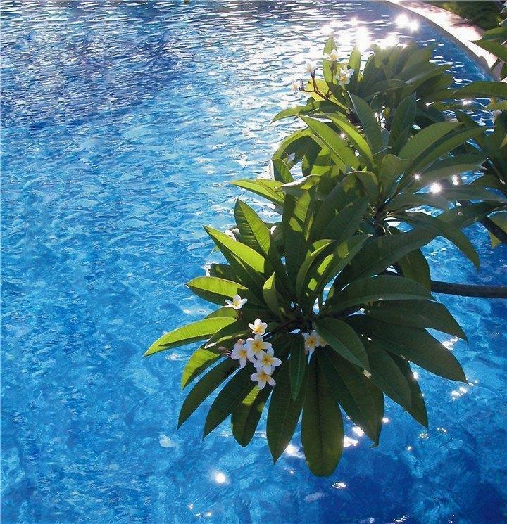 Апартаменти Guest House International Hotel 4*