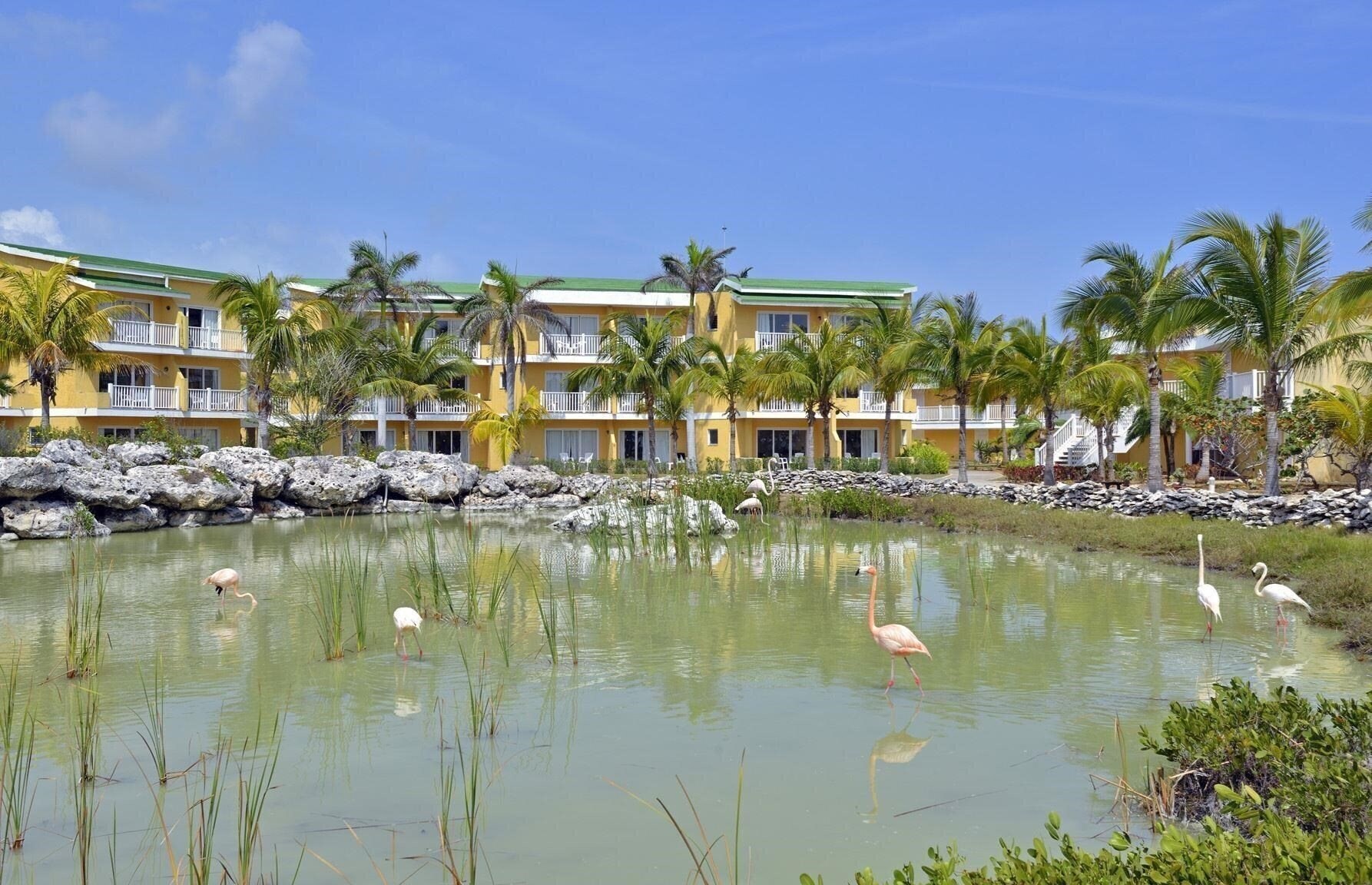 Картинка Tryp Cayo Coco 4*