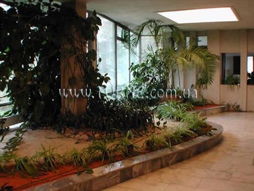 Вид Jantarnij Bereg 3*