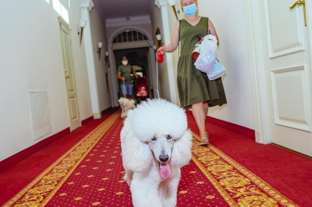 Территория Europa Royale 4*