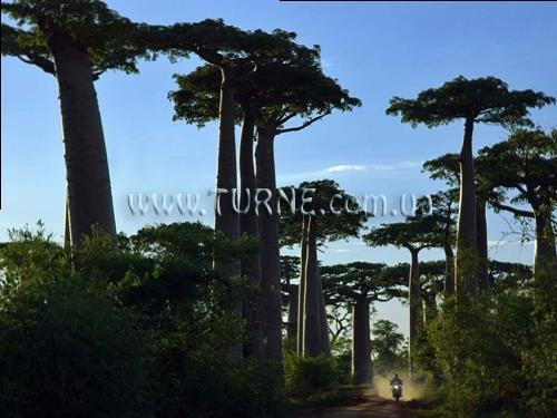 Готель Chanty Beach 3*