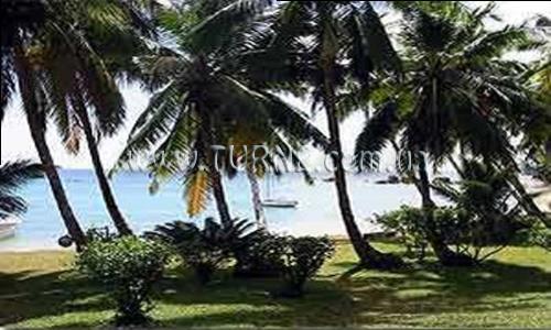 Фото La Crique 1*