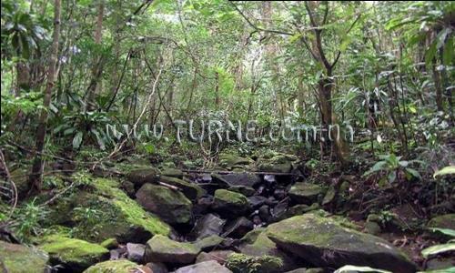 Готель La Crique 1*