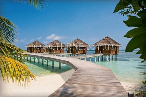 Панорама Lux* Maldives (ex. Diva Resort & Spa) 5*