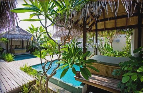 Апартаменты Lux* Maldives (ex. Diva Resort & Spa) 5*