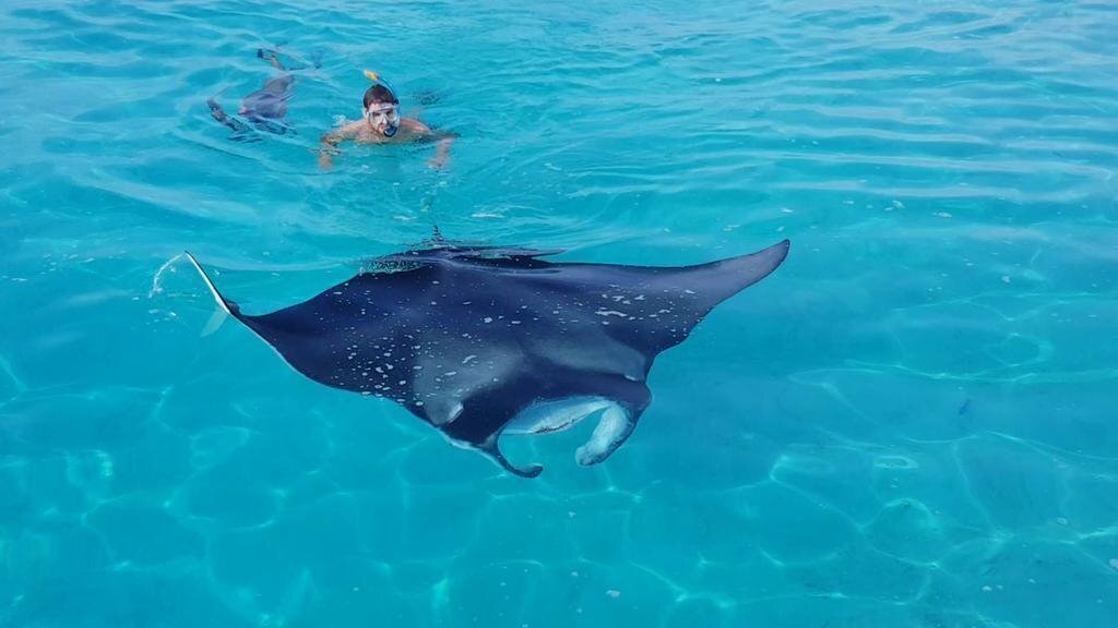 Готель Ari Villa Sea View Guest House вилла