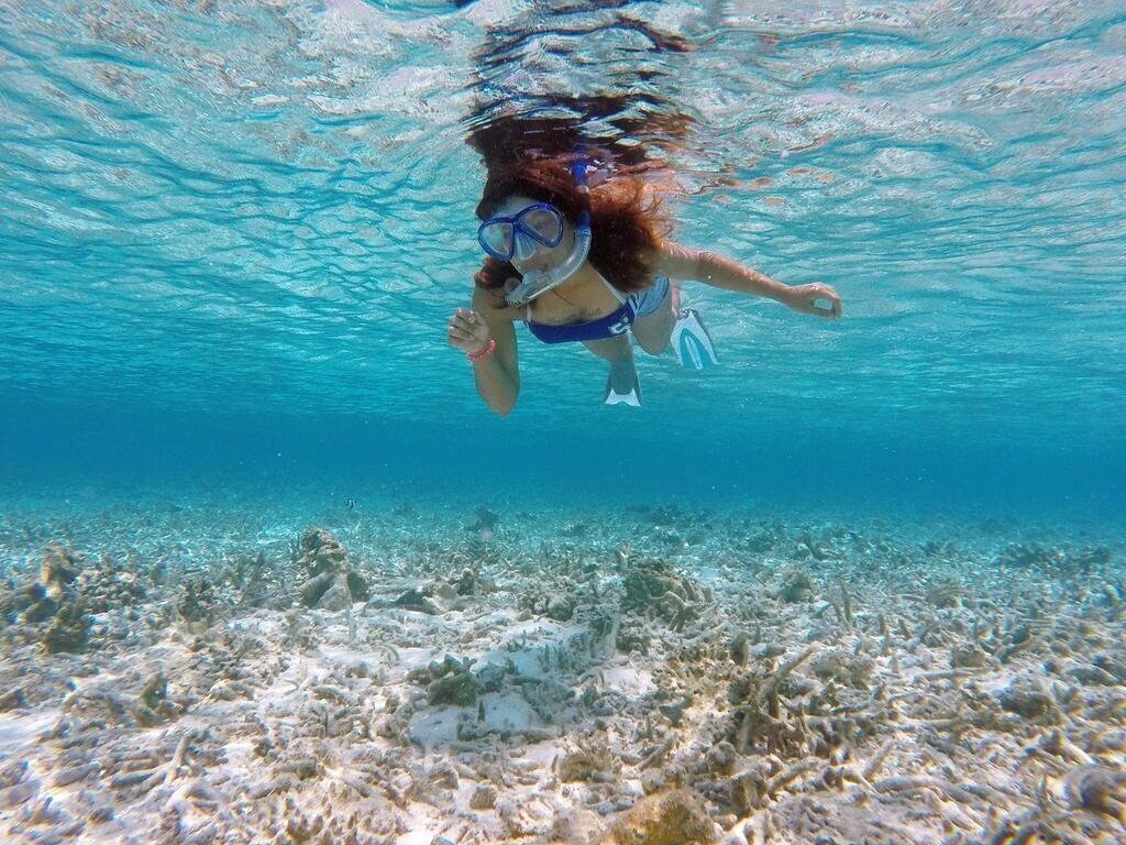 Панорама Beach Park Residence Guest House 5*