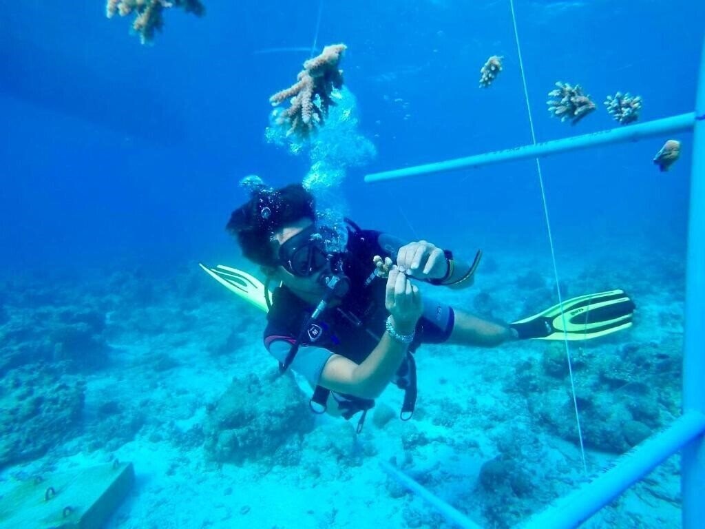 Территория The Barefoot Eco Hotel 4*