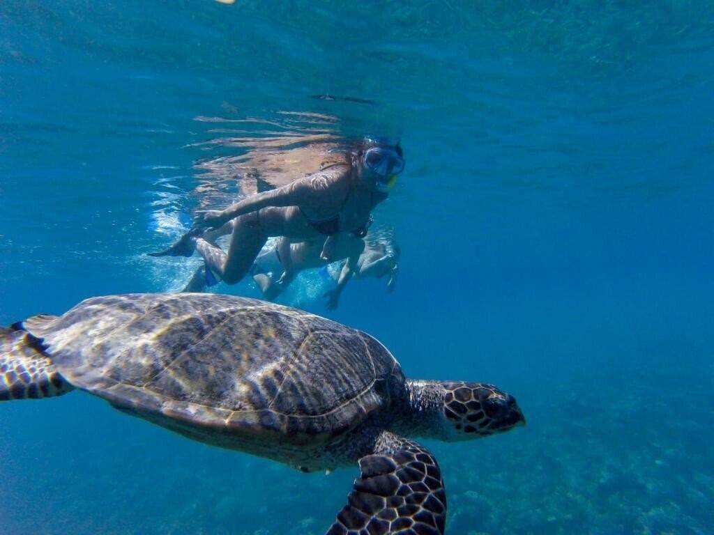 Апартаменты Crystal Sands 3*