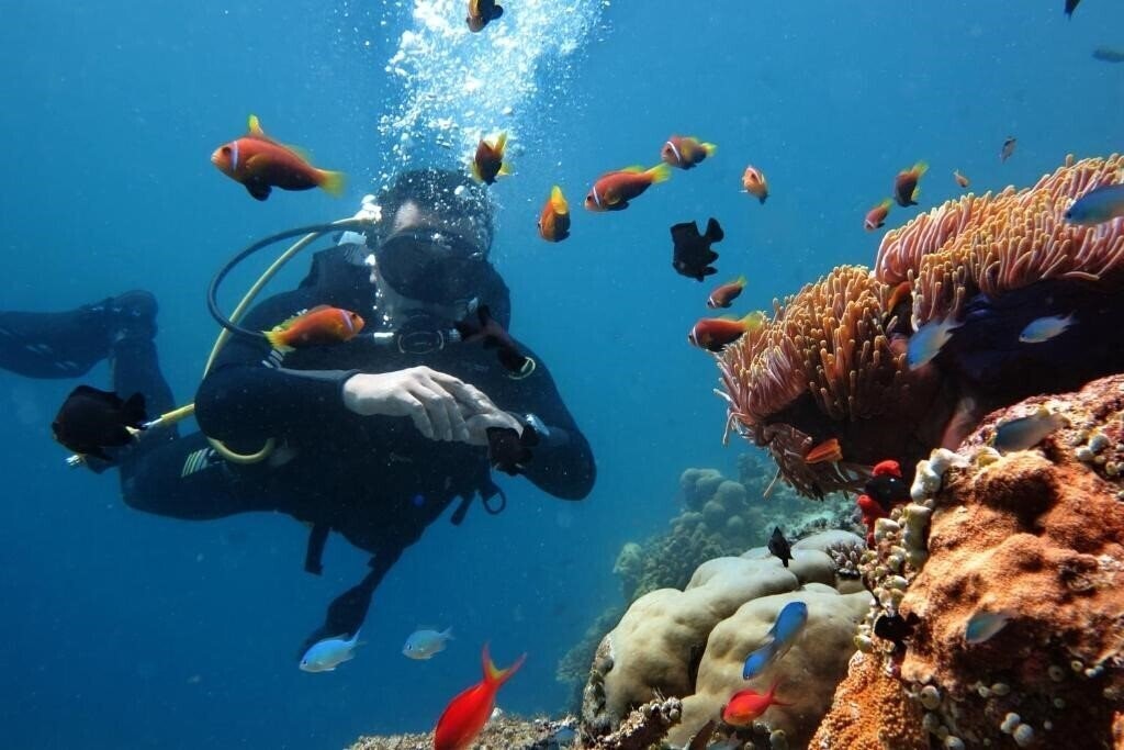 Апартаменты Stingray Beach Inn 3*