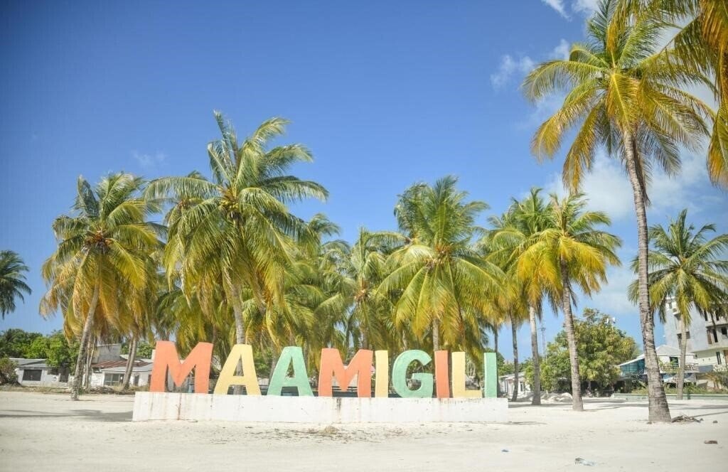 Фотография La Cabana Maldives Guest House 3*