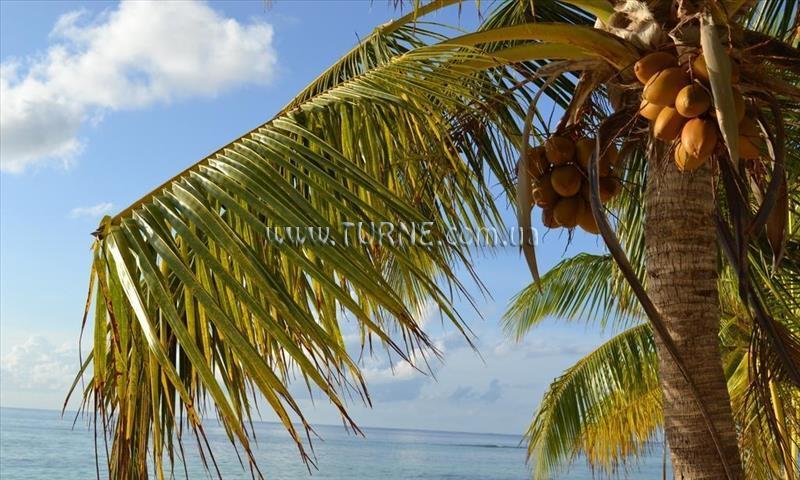 Территория Maafushi Inn 2*