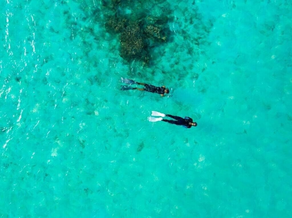 Панорама Taj Coral Reef 4*