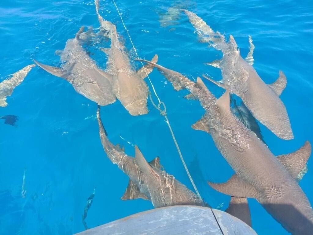 Панорама Vaali Beach Lodge 3*