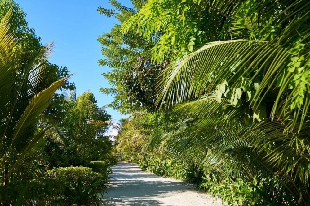 Панорама Sun Siyam Romance Maldives 5*