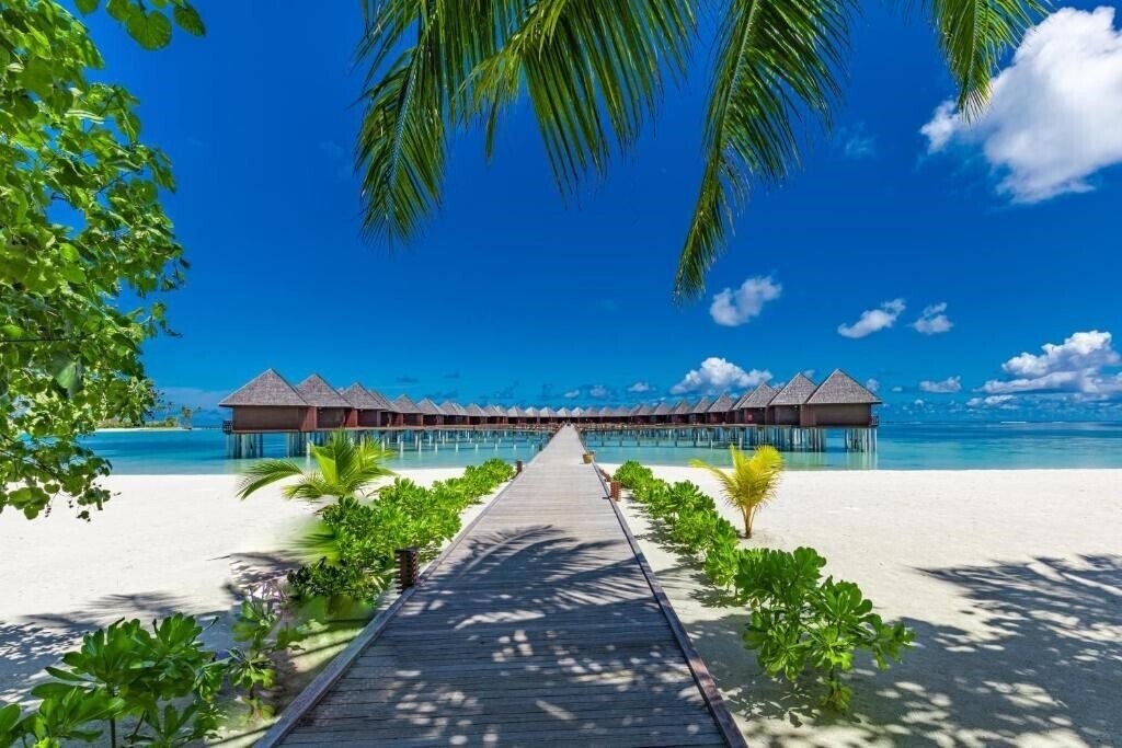 Панорама Olhuveli Beach & Spa Resort 4*