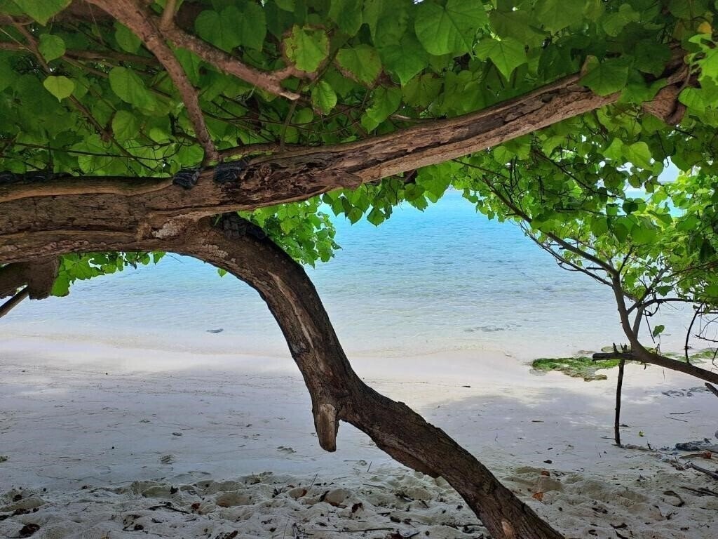 Вид Summer Sky Thoddoo Guest House гостиный двор