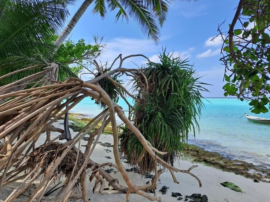 Територія Summer Sky Thoddoo Guest House гостиный двор