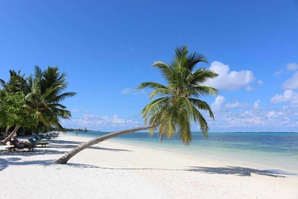 Панорама Canareef Resort Maldives 4*