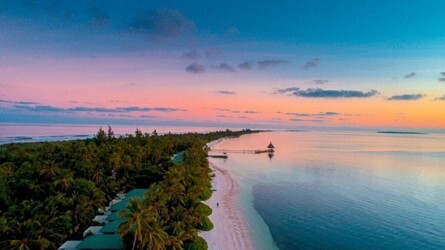 Canareef Resort Maldives 4* Туры на Мальдивы