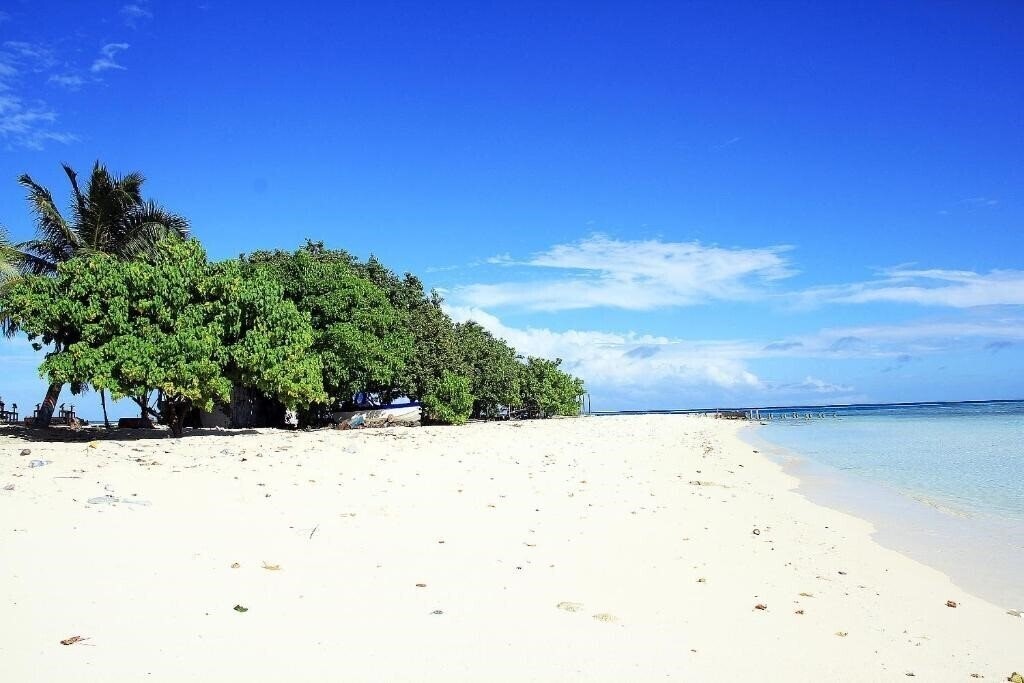 Панорама Tropic Tree Maldives 3*