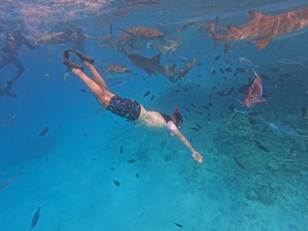 Вид Beach Walk Inn Gulhi Guest House гостиный двор