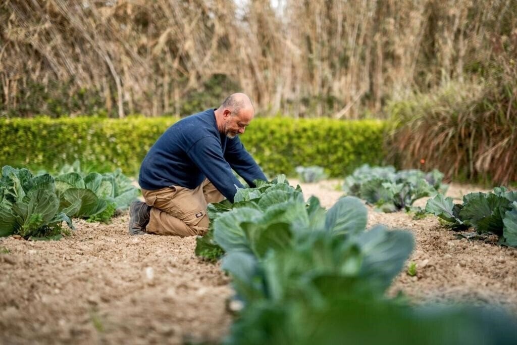 Апартаменты Kempinski San Lawrenz Hotel & SPA 5*