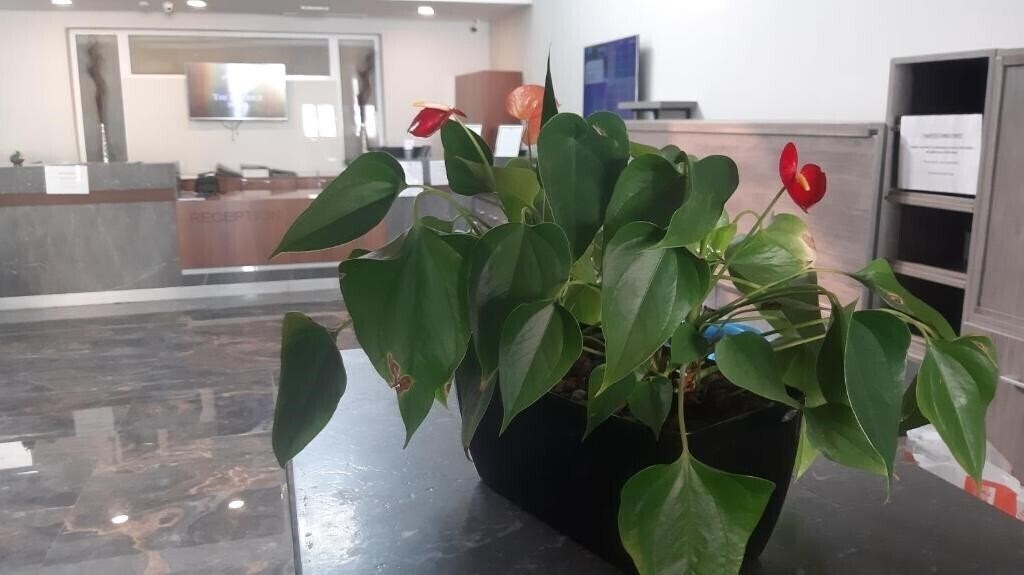 Апартаменты The District Hotel Boutique 3*