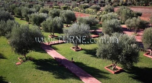 Панорама Le Diamant De Zaraba отель без категории