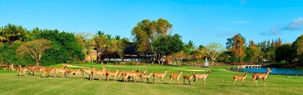 Вид Constance Belle Mare Plage 5*