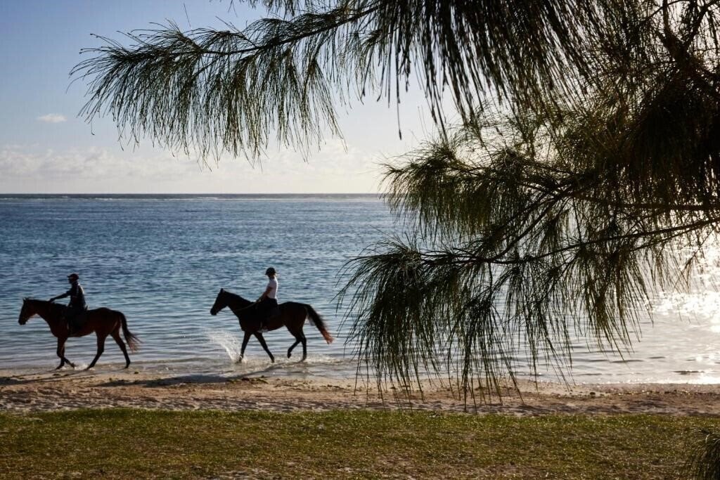 Апартаменты C Mauritius 4*