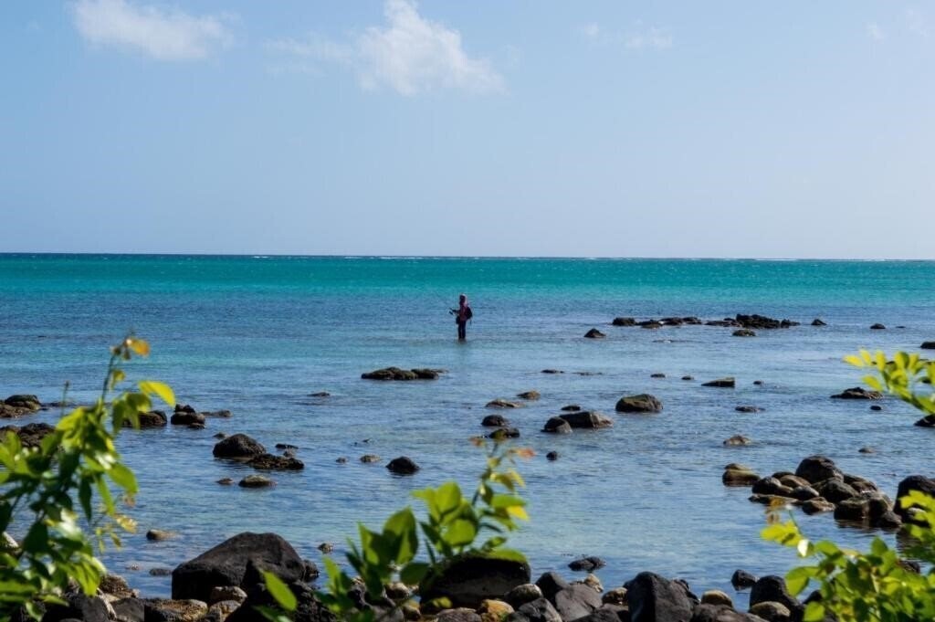 Апартаменты Flowers Of Paradise Beachfront Residence Apartment 3*