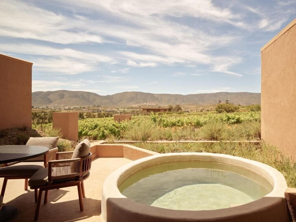 Вид Banyan Tree Veya Valle De Guadalupe 5*