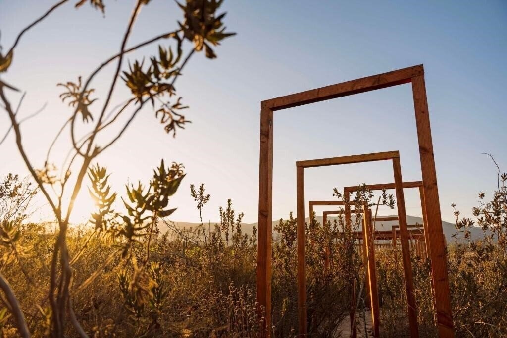 Панорама Banyan Tree Veya Valle De Guadalupe 5*