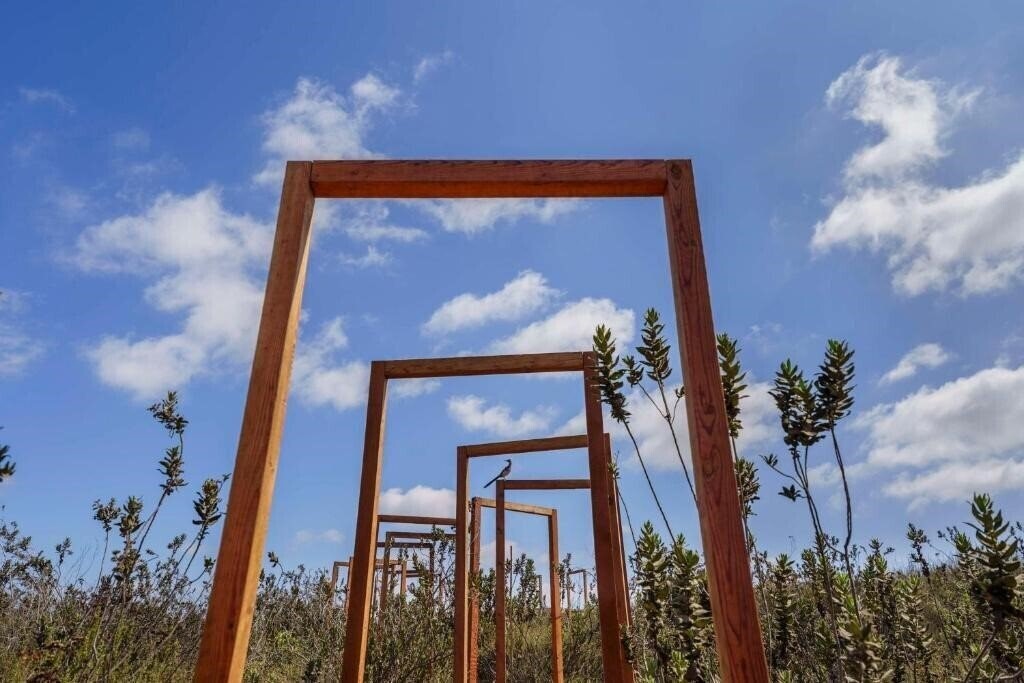 Зображення Banyan Tree Veya Valle De Guadalupe 5*