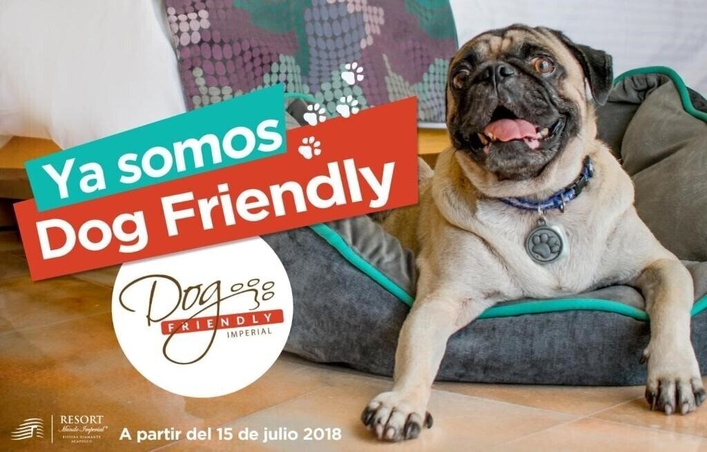 Територія Pierre Mundo Imperial 3*