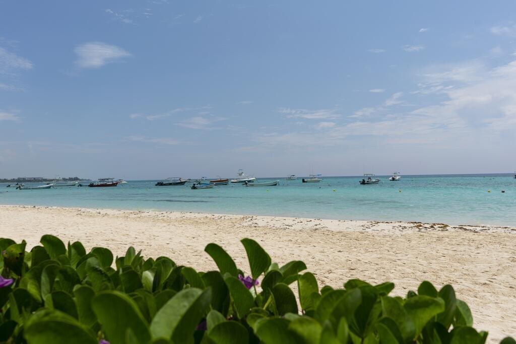 Вид The Reef Cocobeach 4*