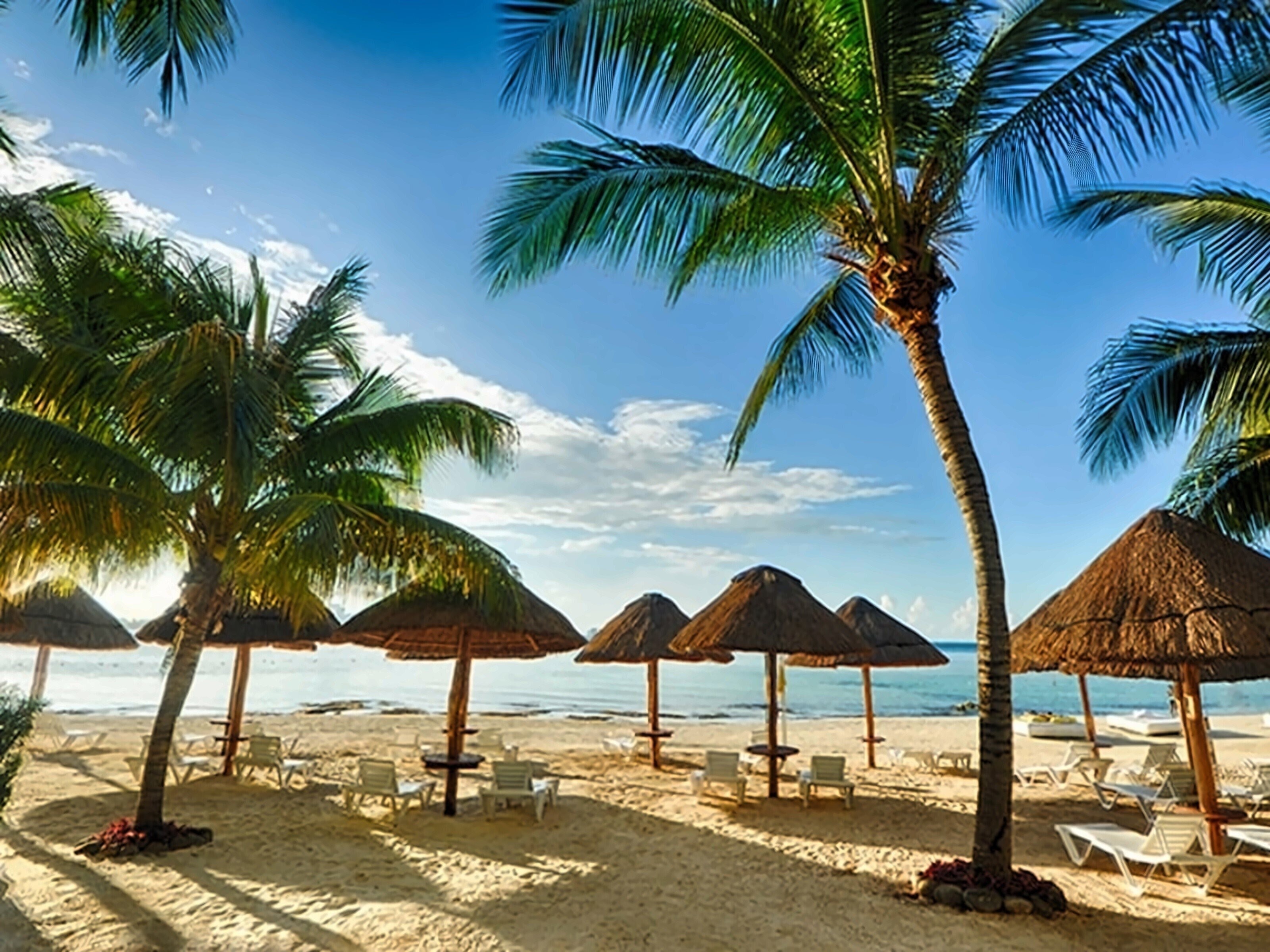 Панорама Dreams Sands Cancun Resort & SPA 5*