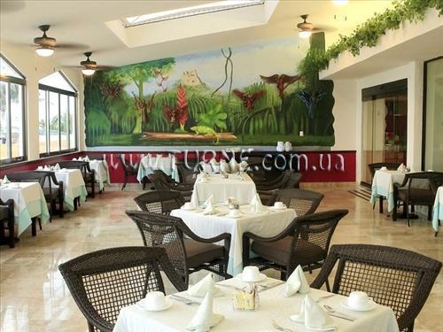 Вид Golden Parnassus 4*