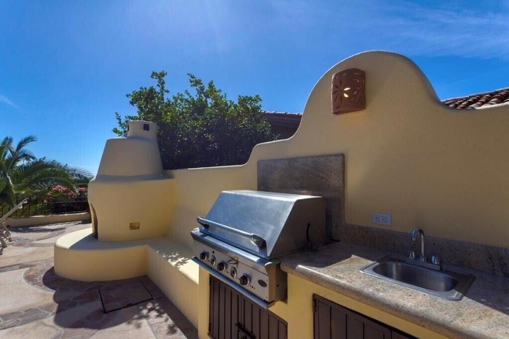 Вид Agave Azul 2*