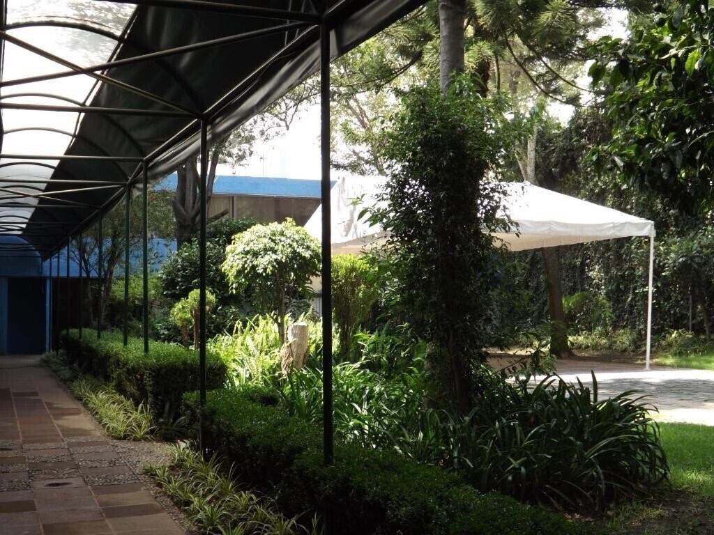 Зображення Pedregal Palace 3*