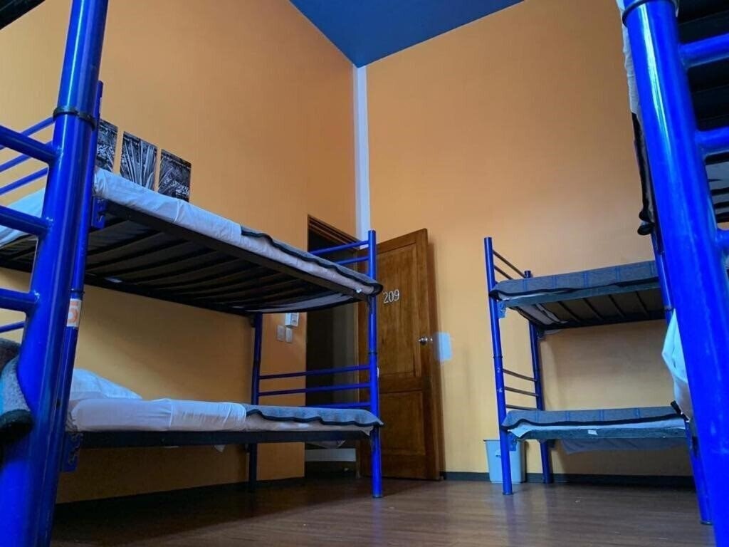 Картинка Hostel Amigo 2*