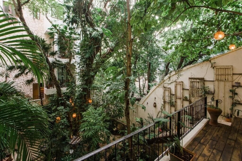 Территория Hotel La Semilla 3*