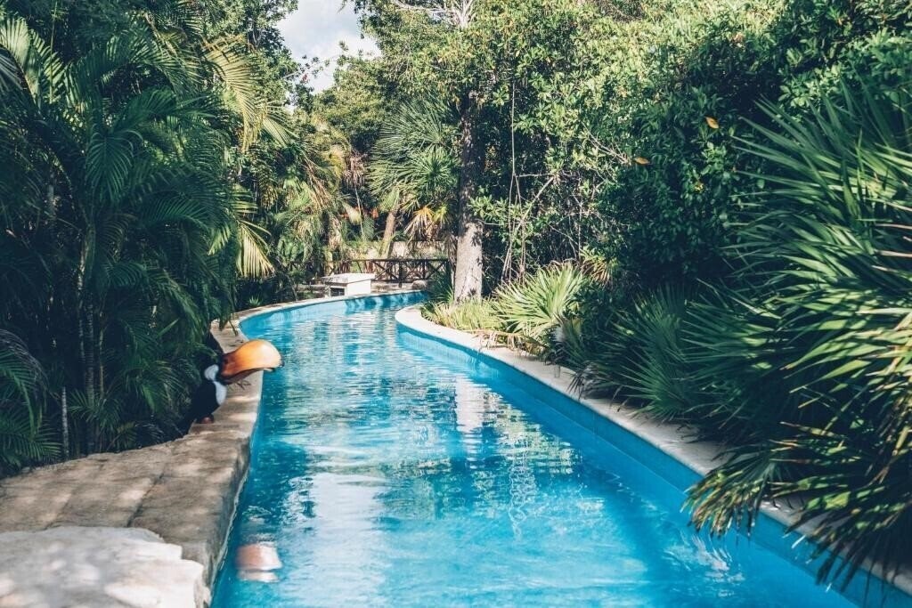 Апартаменти Iberostar Paraiso Maya 5*