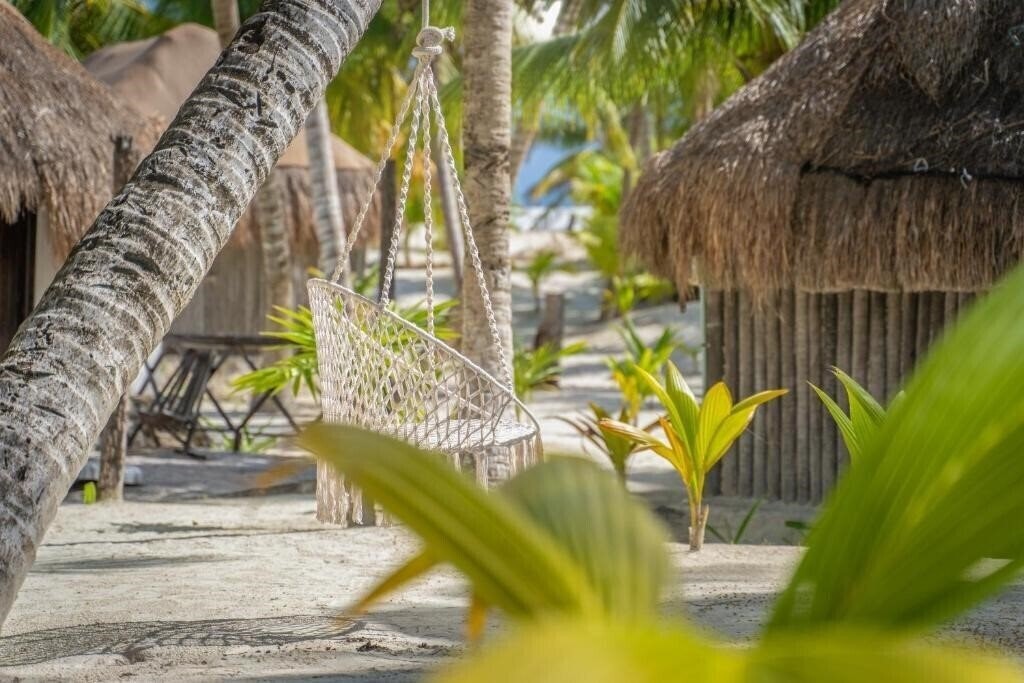 Картинка Alito Tulum 4*