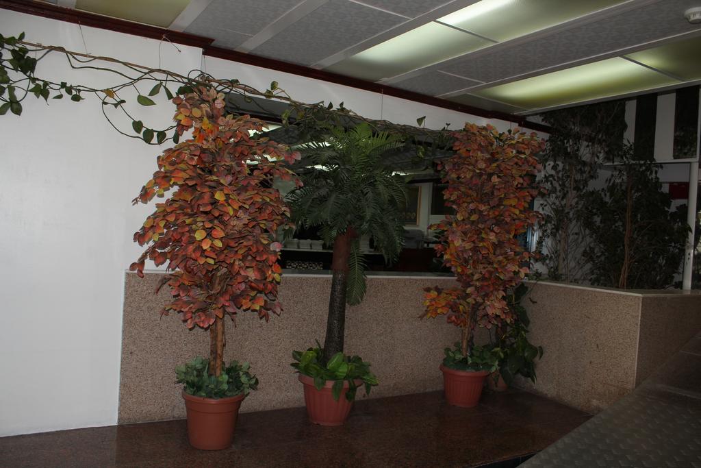 Фотографія Gava Hotel 1*