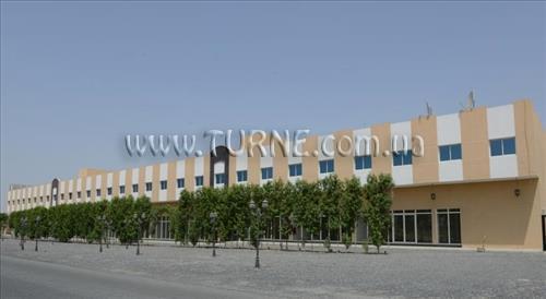 Картинка Camel Campus хостел