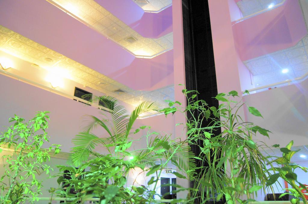 Территория New Penninsula Hotel 2*