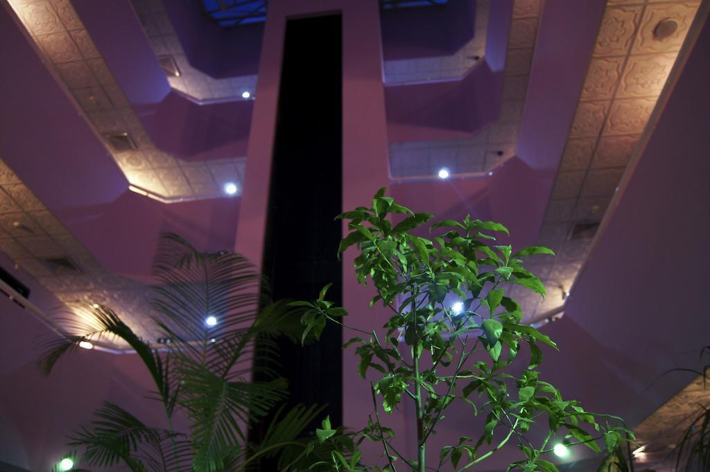 Апартаменты New Penninsula Hotel 2*